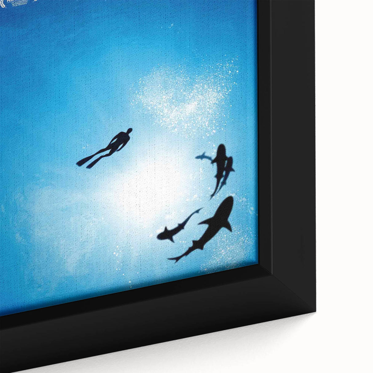 2000s Vintage Movie Posters - Sharkwater Documentary Wall Art