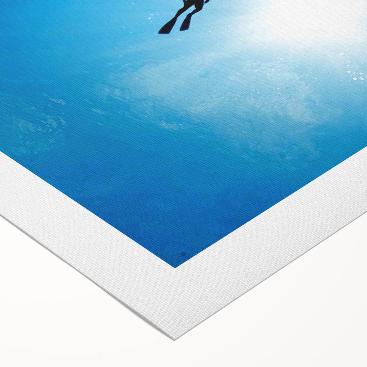 2000s Vintage Movie Posters - Sharkwater Documentary Wall Art
