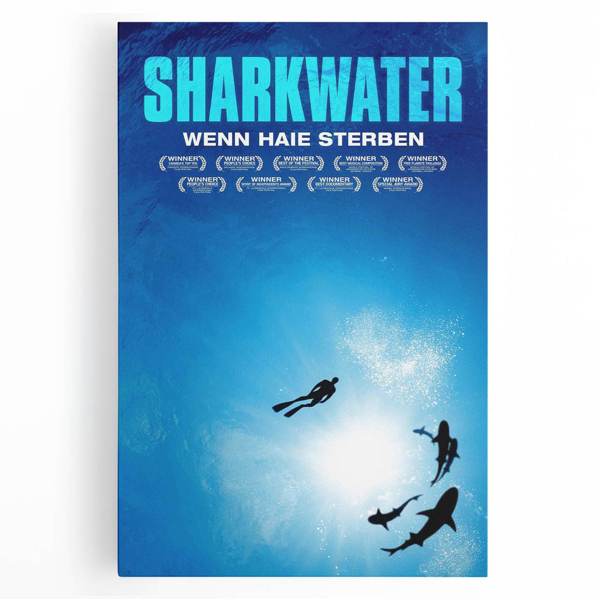2000s Vintage Movie Posters - Sharkwater Documentary Wall Art