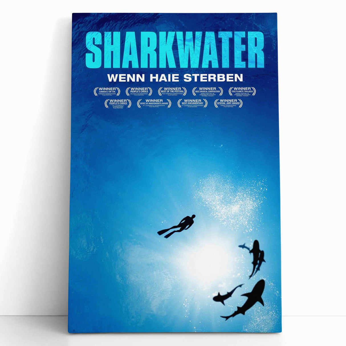2000s Vintage Movie Posters - Sharkwater Documentary Wall Art