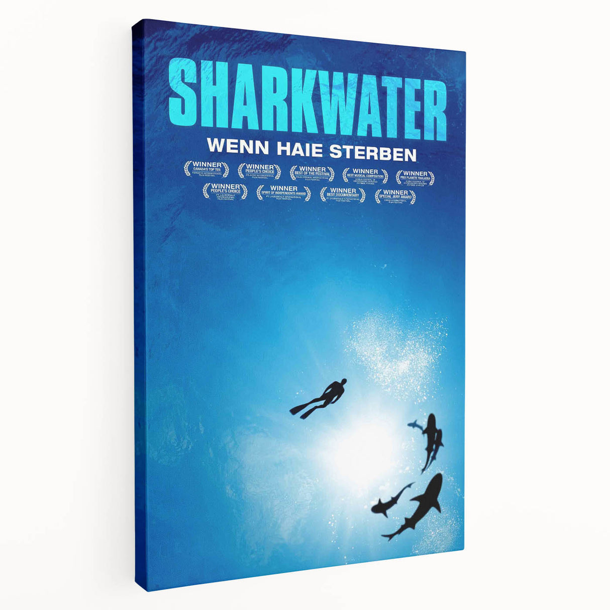 2000s Vintage Movie Posters - Sharkwater Documentary Wall Art