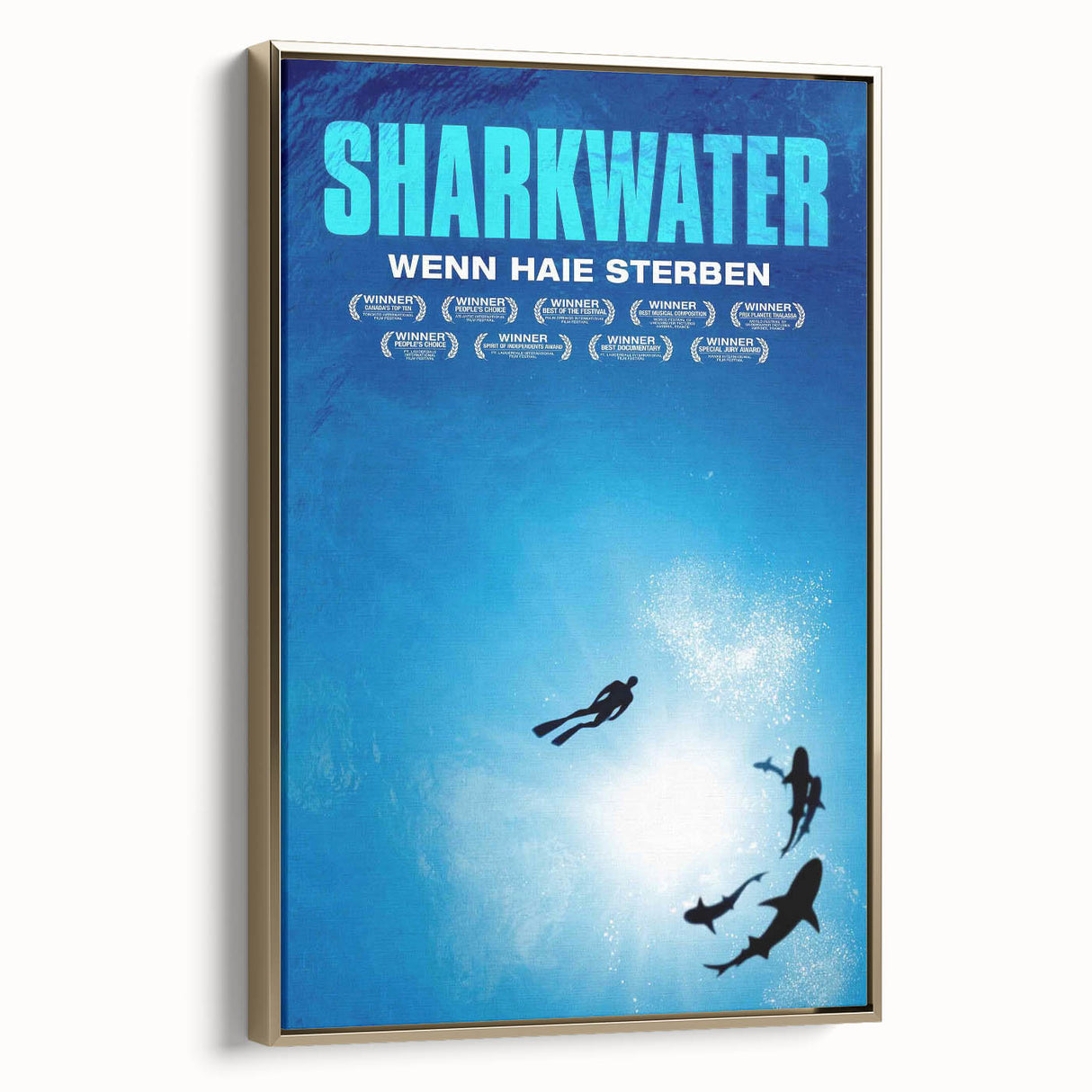 2000s Vintage Movie Posters - Sharkwater Documentary Wall Art