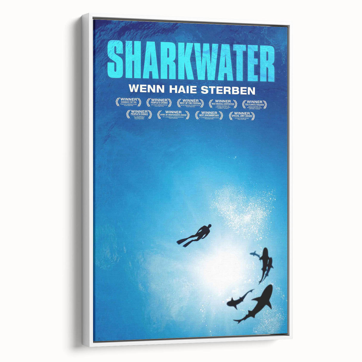 2000s Vintage Movie Posters - Sharkwater Documentary Wall Art