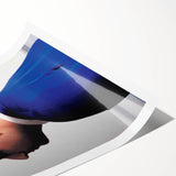 Retro 2000s Cinema Posters – Punch-Drunk Love Vintage Movie Art