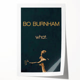 2010s Movie Poster Art - Bo Burnham what. Retro Vintage Film Print
