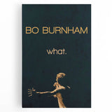 2010s Movie Poster Art - Bo Burnham what. Retro Vintage Film Print