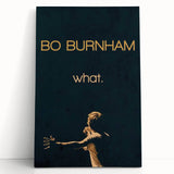 2010s Movie Poster Art - Bo Burnham what. Retro Vintage Film Print