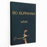2010s Movie Poster Art - Bo Burnham what. Retro Vintage Film Print