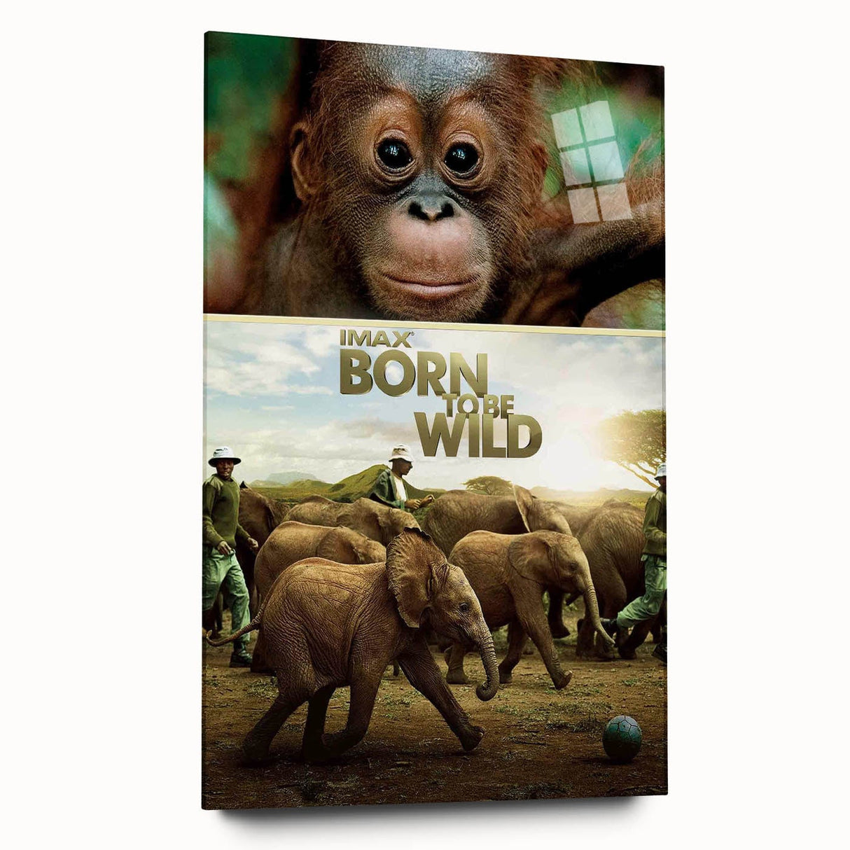 2010s Movie Poster Art - Born to Be Wild Retro Vintage Film Print