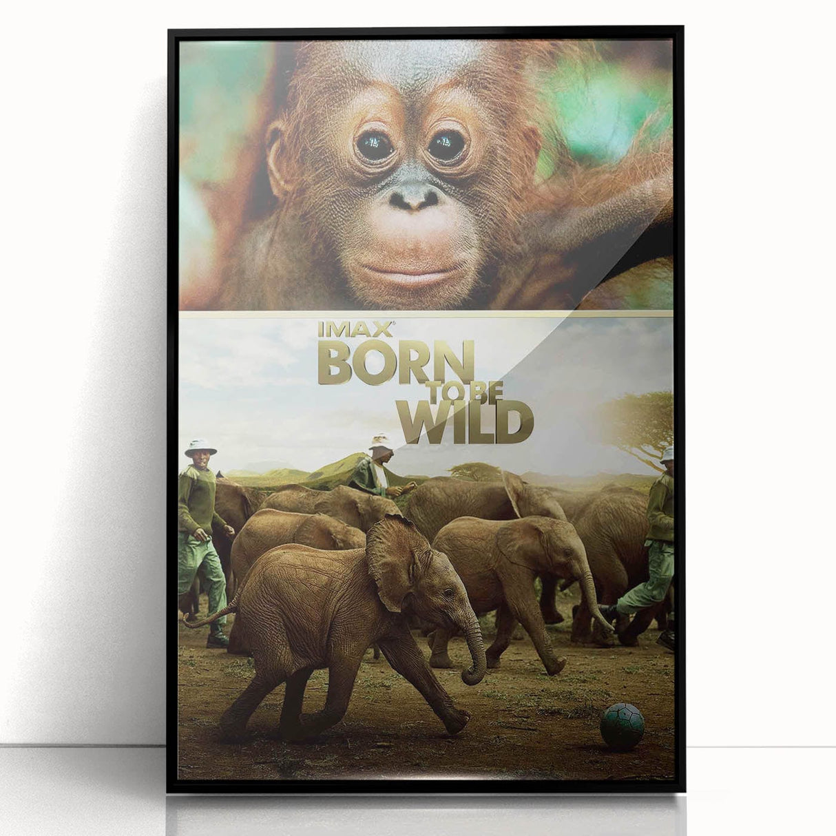 2010s Movie Poster Art - Born to Be Wild Retro Vintage Film Print