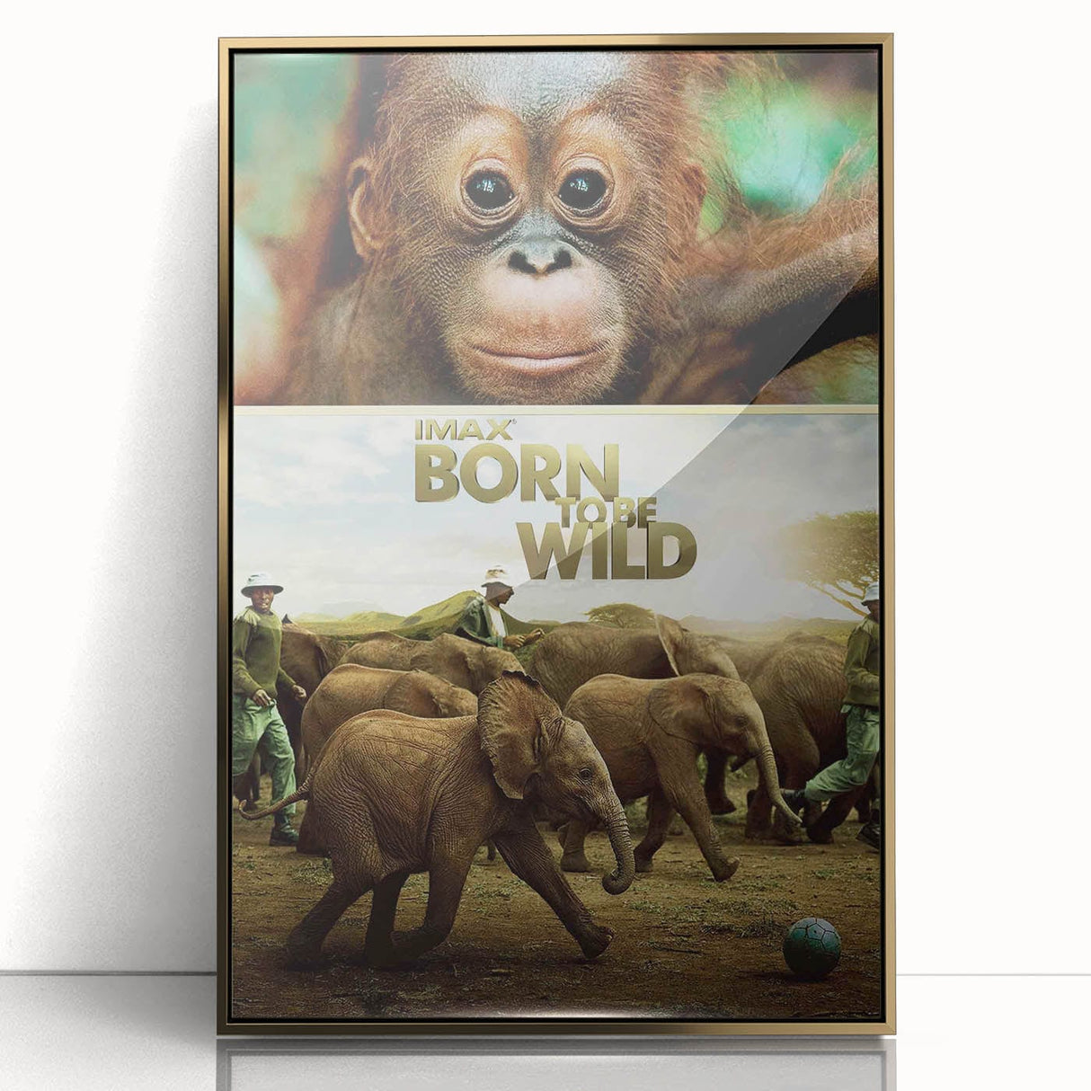 2010s Movie Poster Art - Born to Be Wild Retro Vintage Film Print