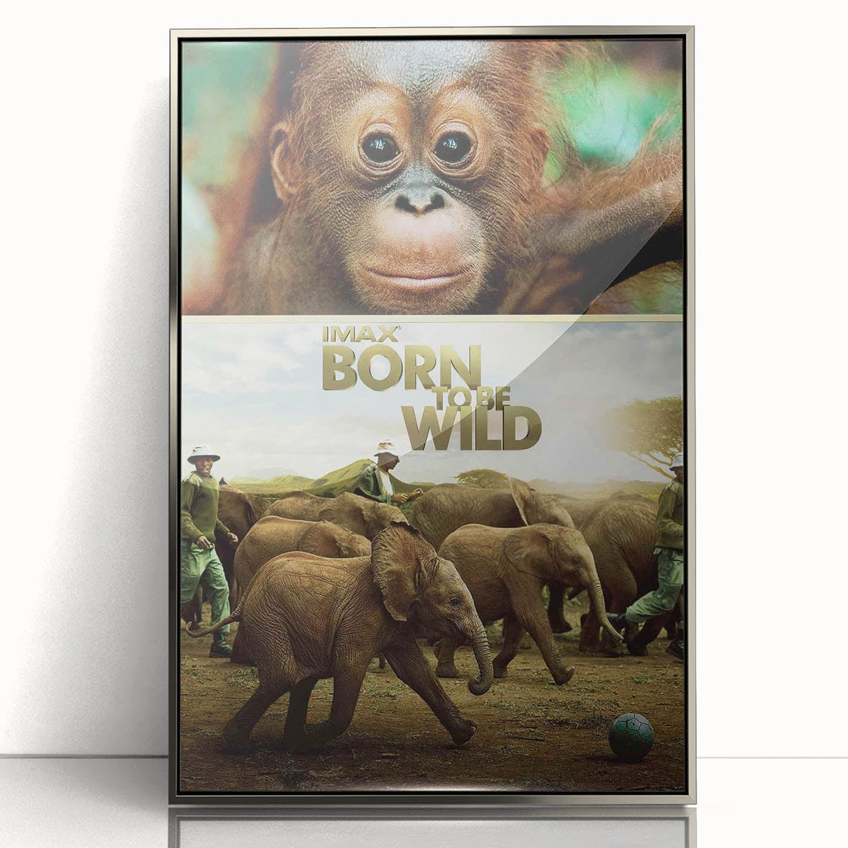 2010s Movie Poster Art - Born to Be Wild Retro Vintage Film Print