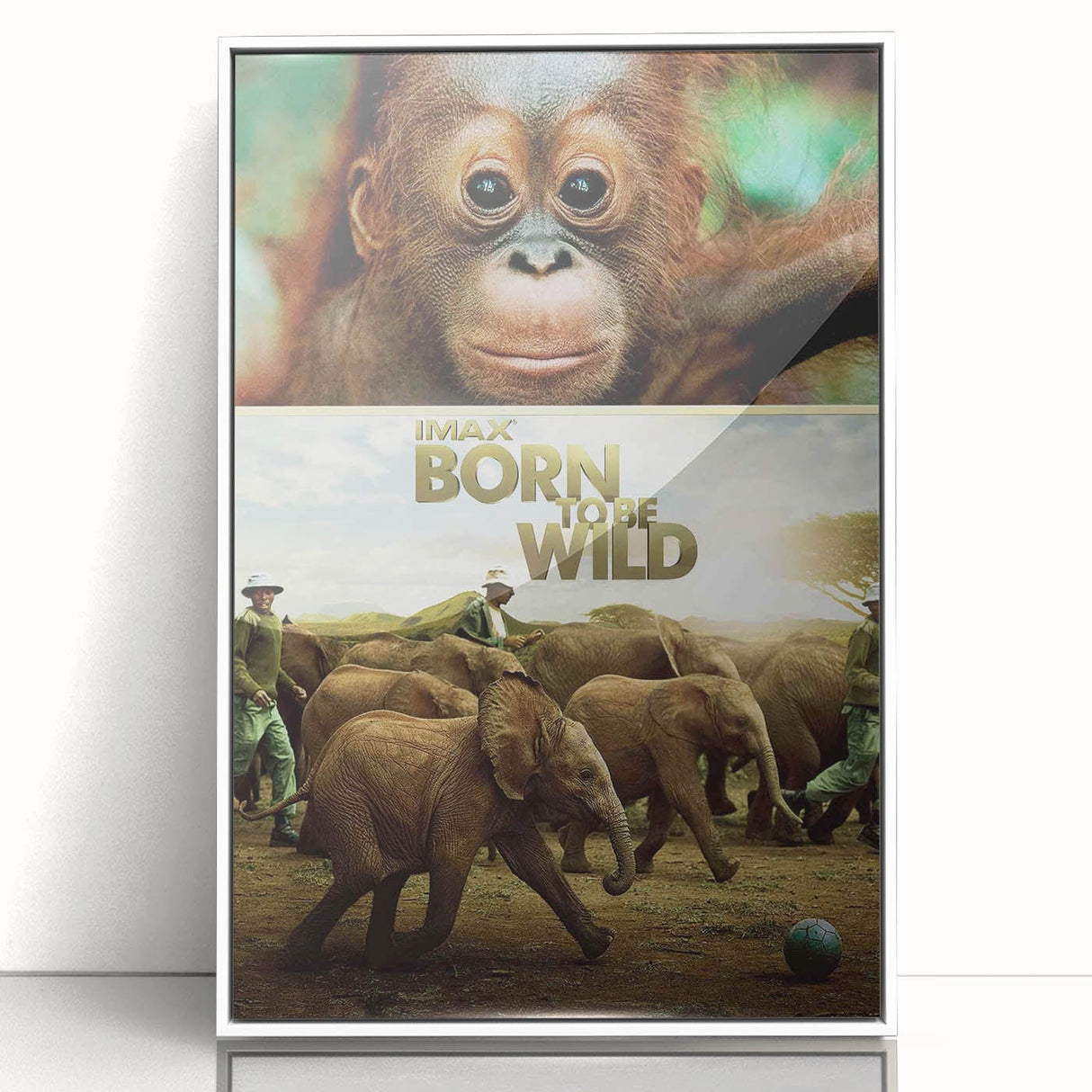 2010s Movie Poster Art - Born to Be Wild Retro Vintage Film Print