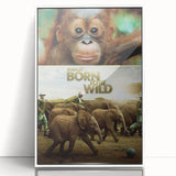 2010s Movie Poster Art - Born to Be Wild Retro Vintage Film Print