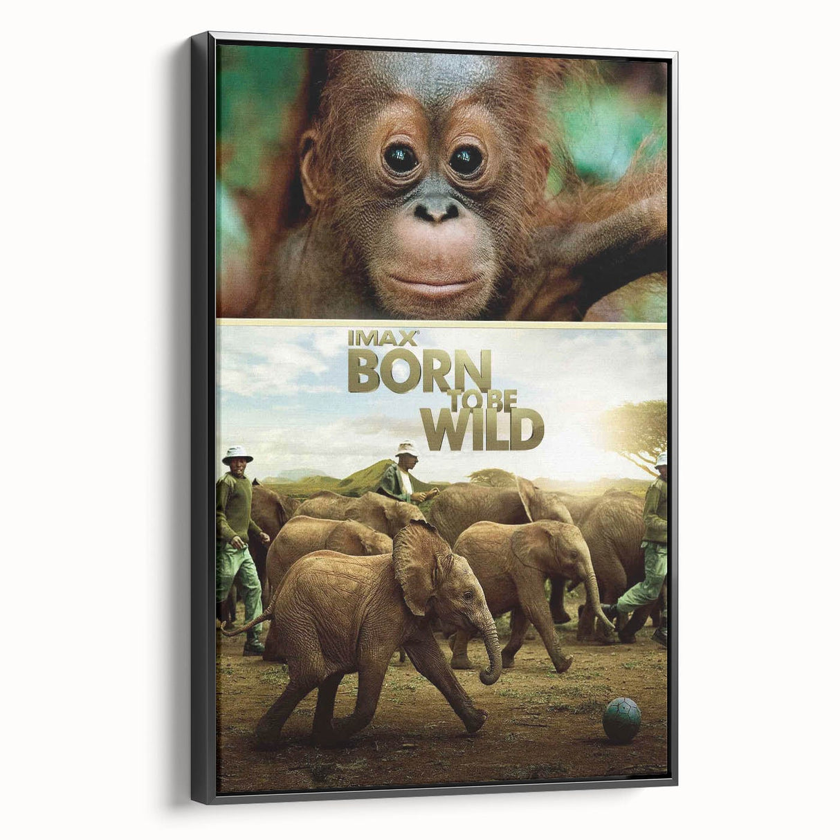 2010s Movie Poster Art - Born to Be Wild Retro Vintage Film Print