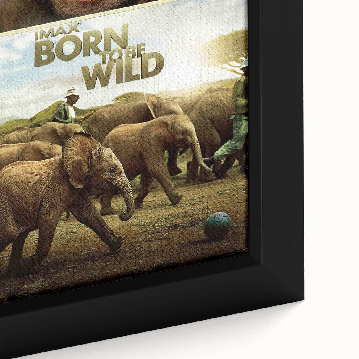 2010s Movie Poster Art - Born to Be Wild Retro Vintage Film Print