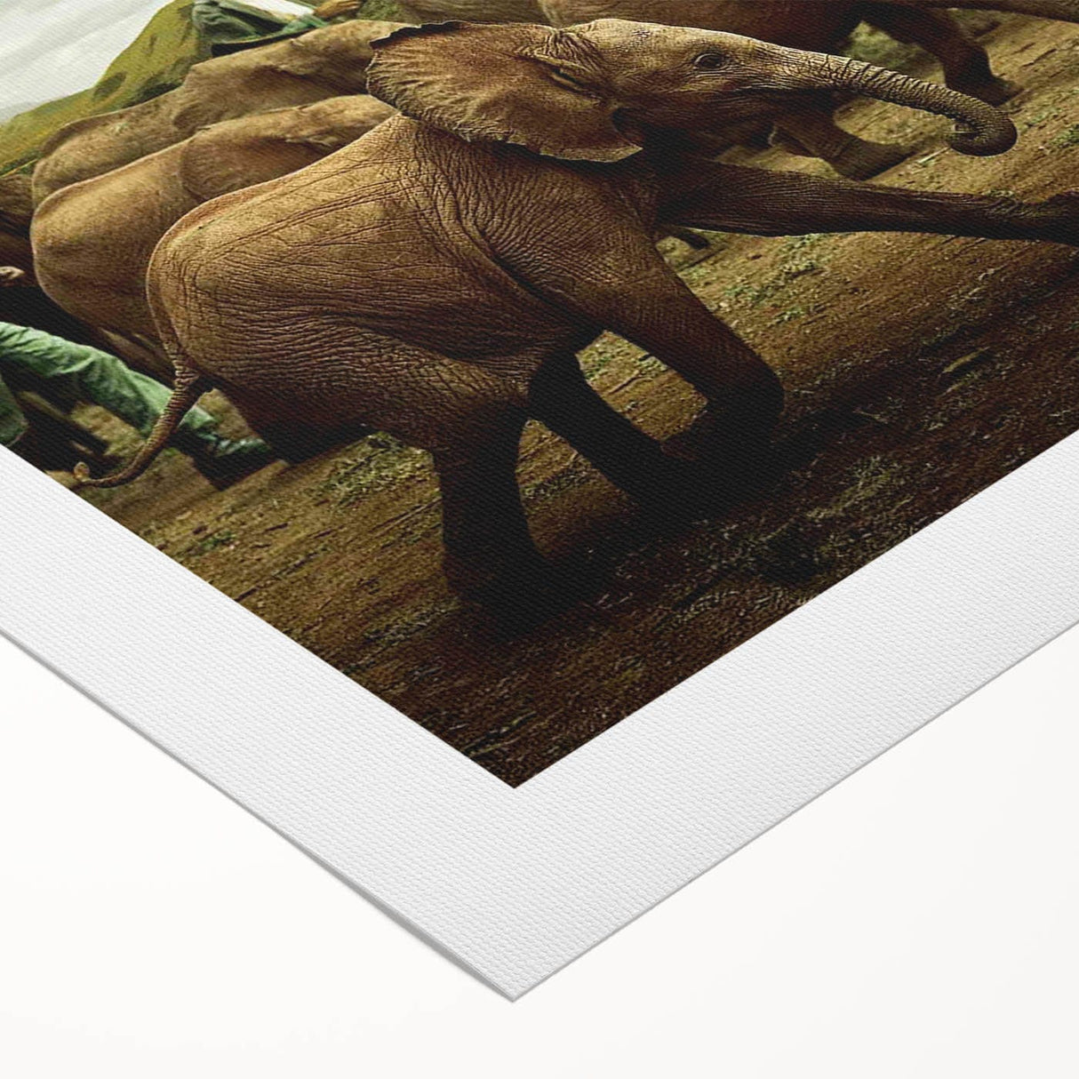 2010s Movie Poster Art - Born to Be Wild Retro Vintage Film Print