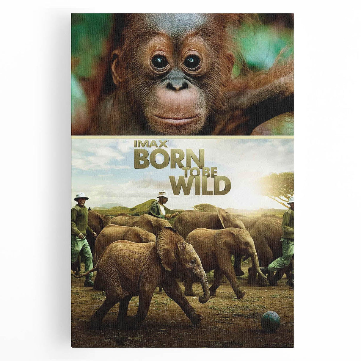 2010s Movie Poster Art - Born to Be Wild Retro Vintage Film Print