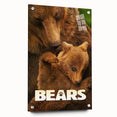 2010s Movie Poster Art – Vintage Bears Documentary Retro Wall Print