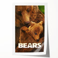 2010s Movie Poster Art – Vintage Bears Documentary Retro Wall Print