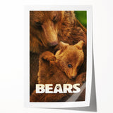 2010s Movie Poster Art – Vintage Bears Documentary Retro Wall Print