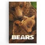2010s Movie Poster Art – Vintage Bears Documentary Retro Wall Print