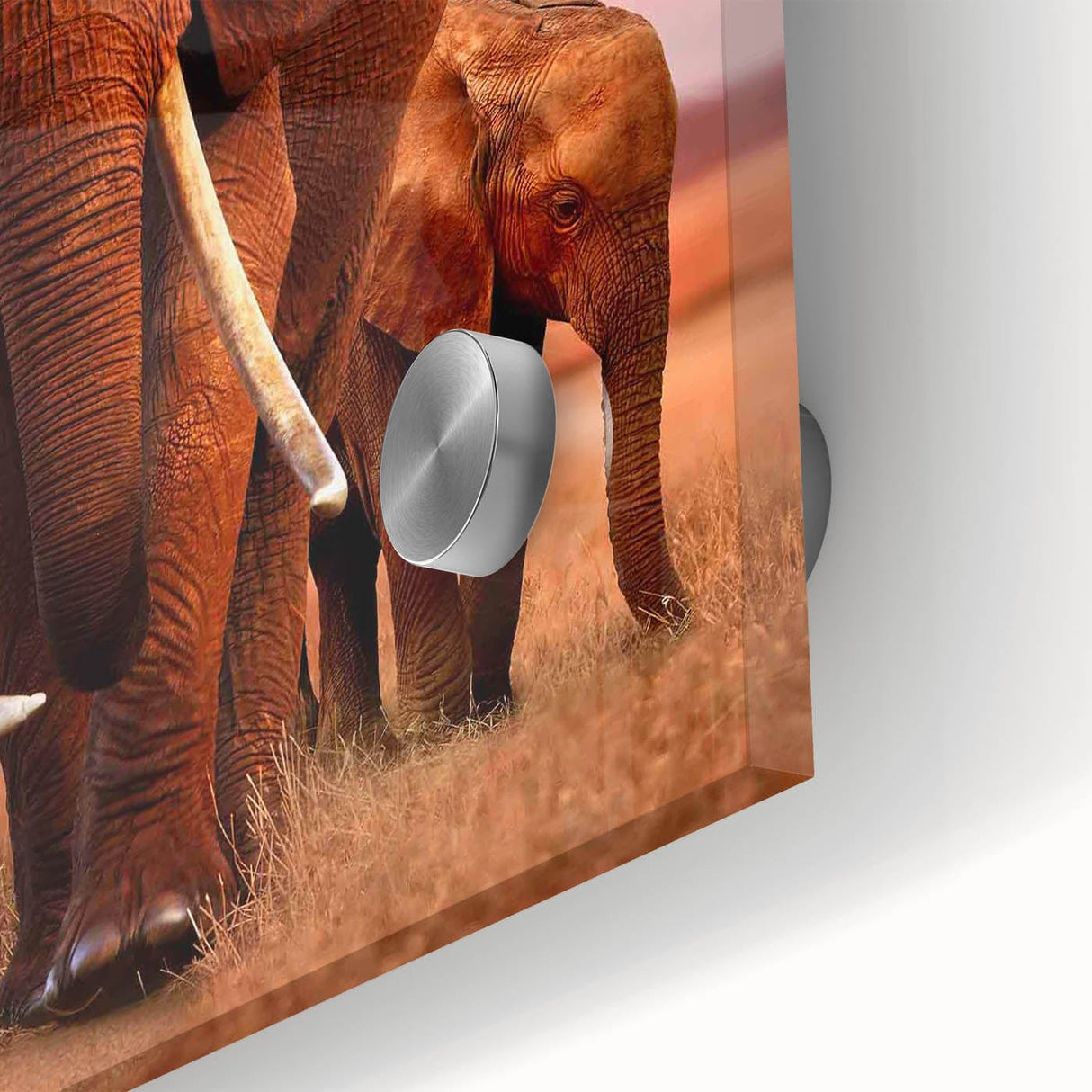 Classic 2010s Movie Poster Art – Vintage The Elephant Queen Print