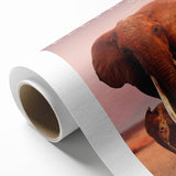 Classic 2010s Movie Poster Art – Vintage The Elephant Queen Print