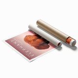 Classic 2010s Movie Poster Art – Vintage The Elephant Queen Print