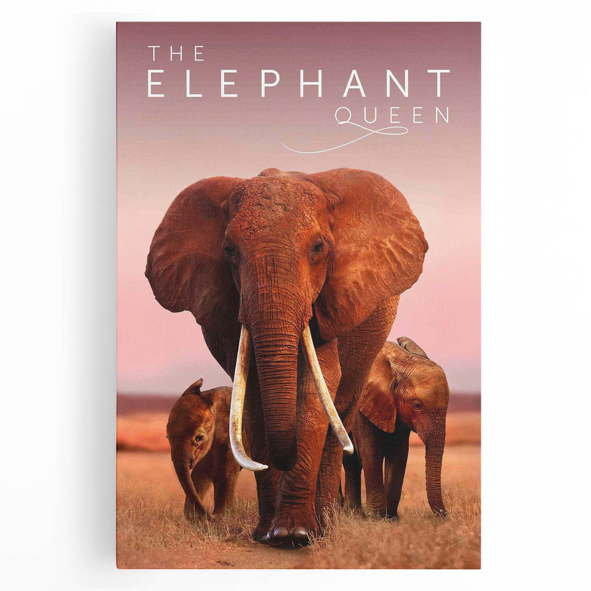 Classic 2010s Movie Poster Art – Vintage The Elephant Queen Print