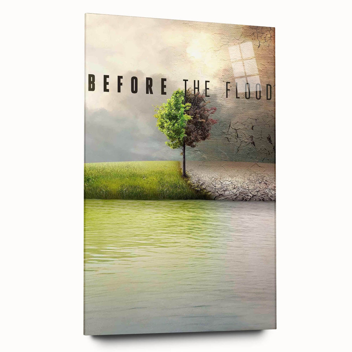2010s Movie Poster Art – Vintage Before the Flood Climate Print