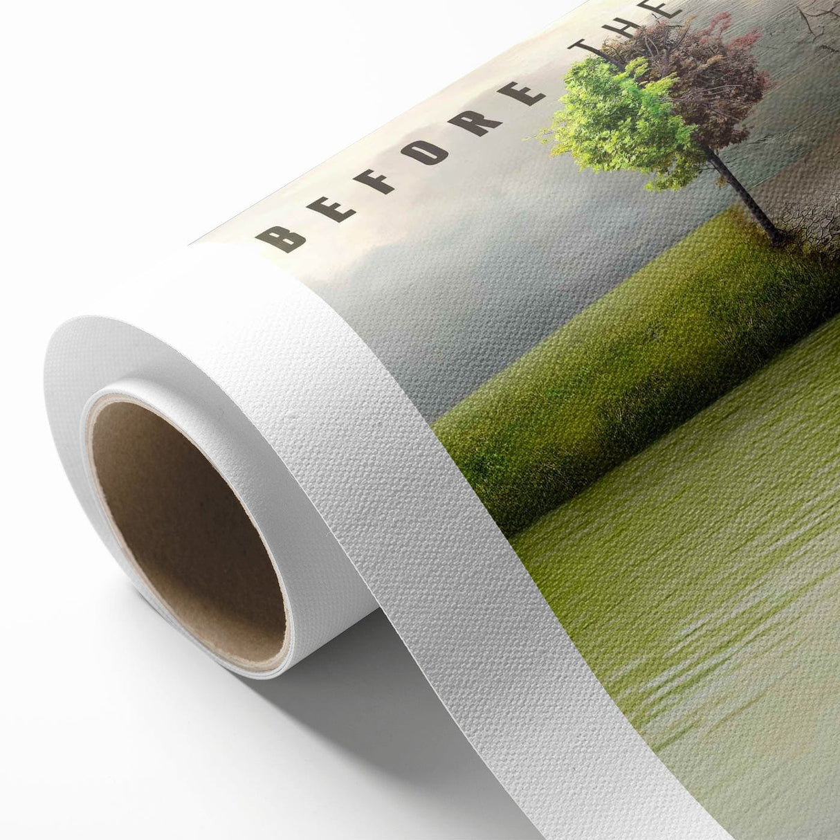 2010s Movie Poster Art – Vintage Before the Flood Climate Print