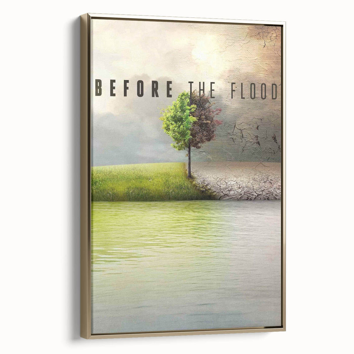 2010s Movie Poster Art – Vintage Before the Flood Climate Print