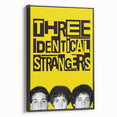 2010s Movie Poster Art - Three Identical Strangers Vintage Print