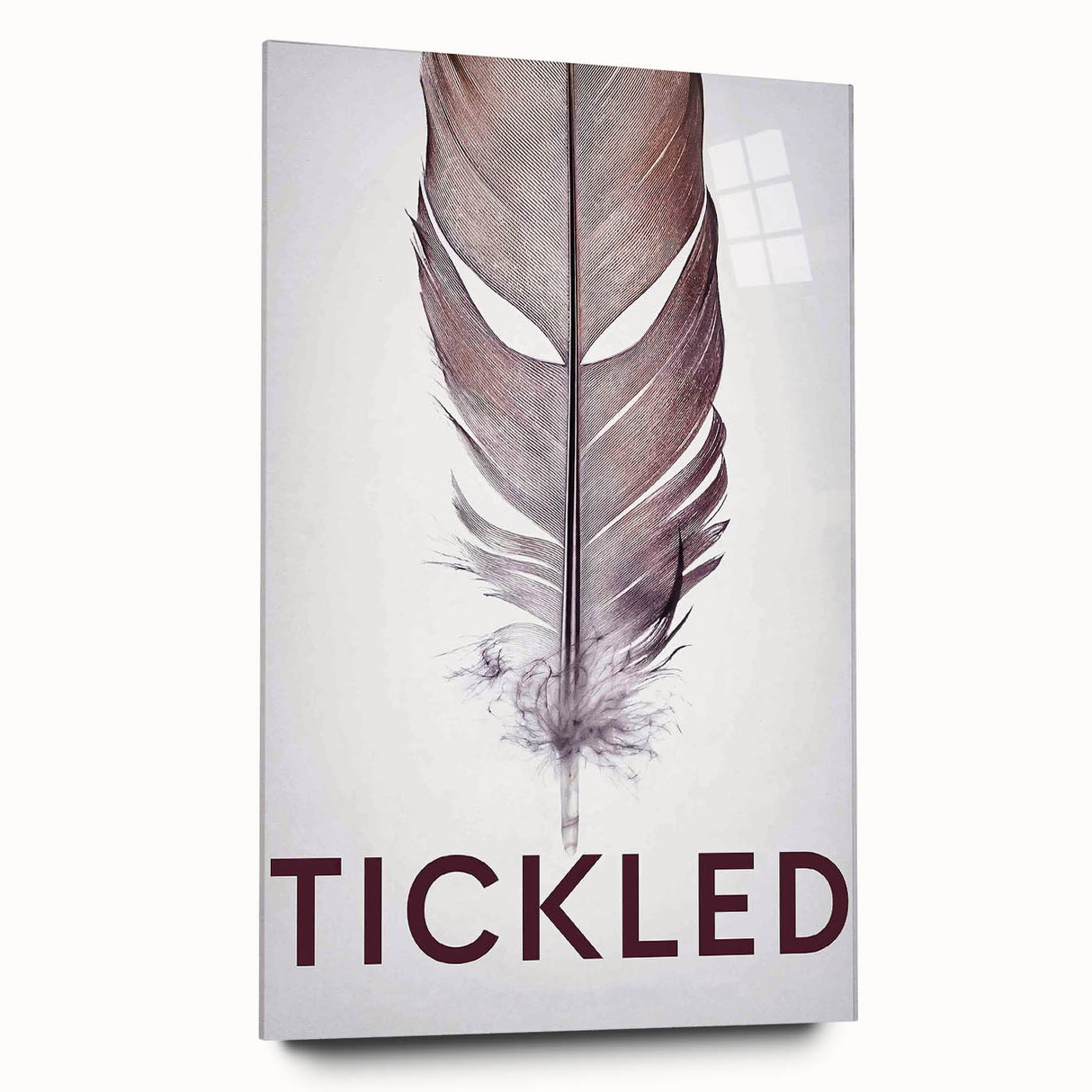2010s Movie Poster Art - Tickled Vintage Documentary Poster Print