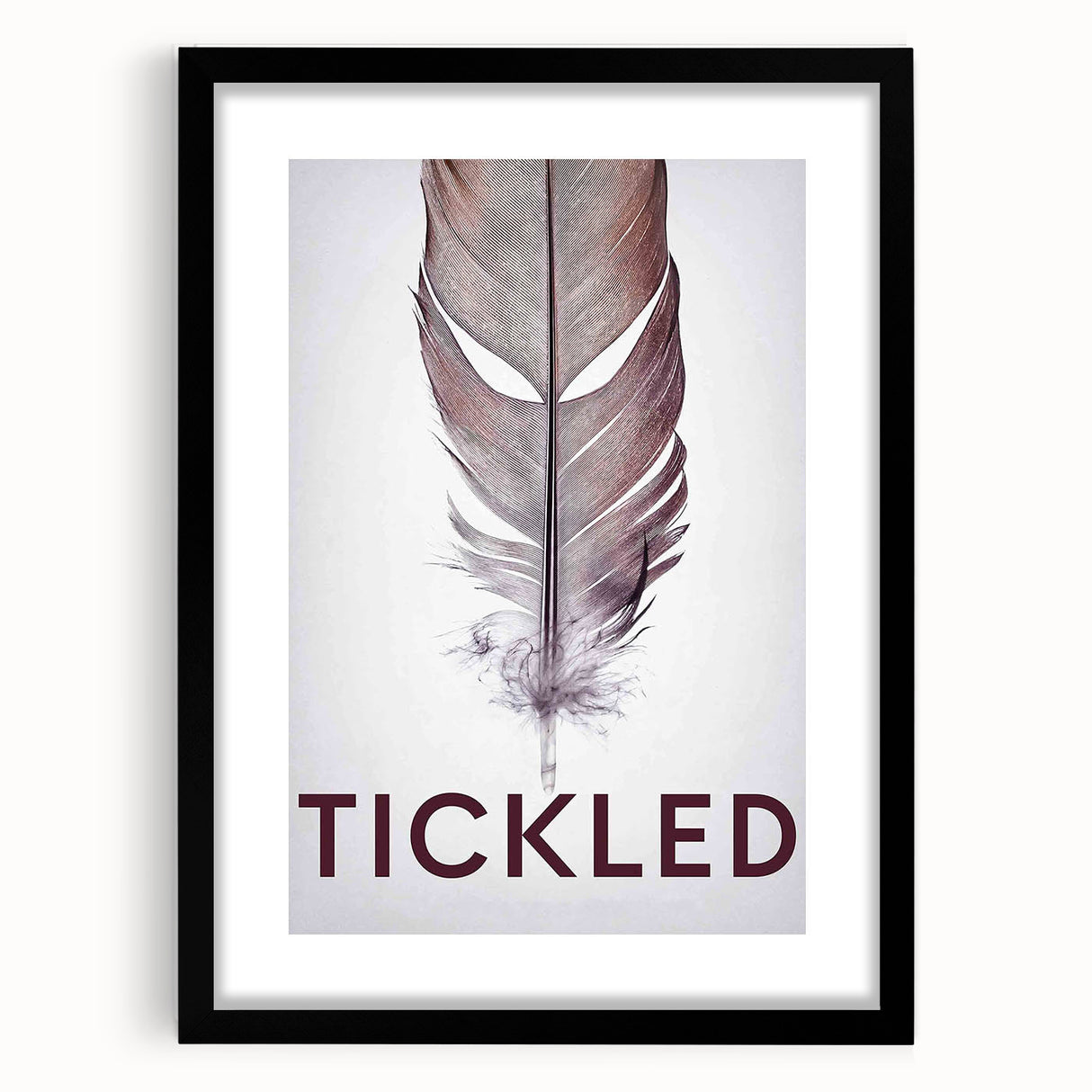 2010s Movie Poster Art - Tickled Vintage Documentary Poster Print