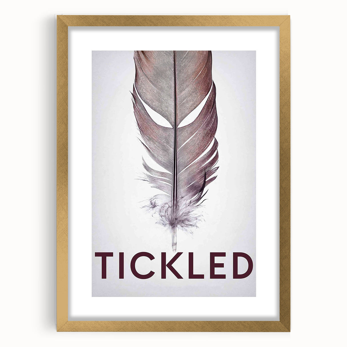 2010s Movie Poster Art - Tickled Vintage Documentary Poster Print
