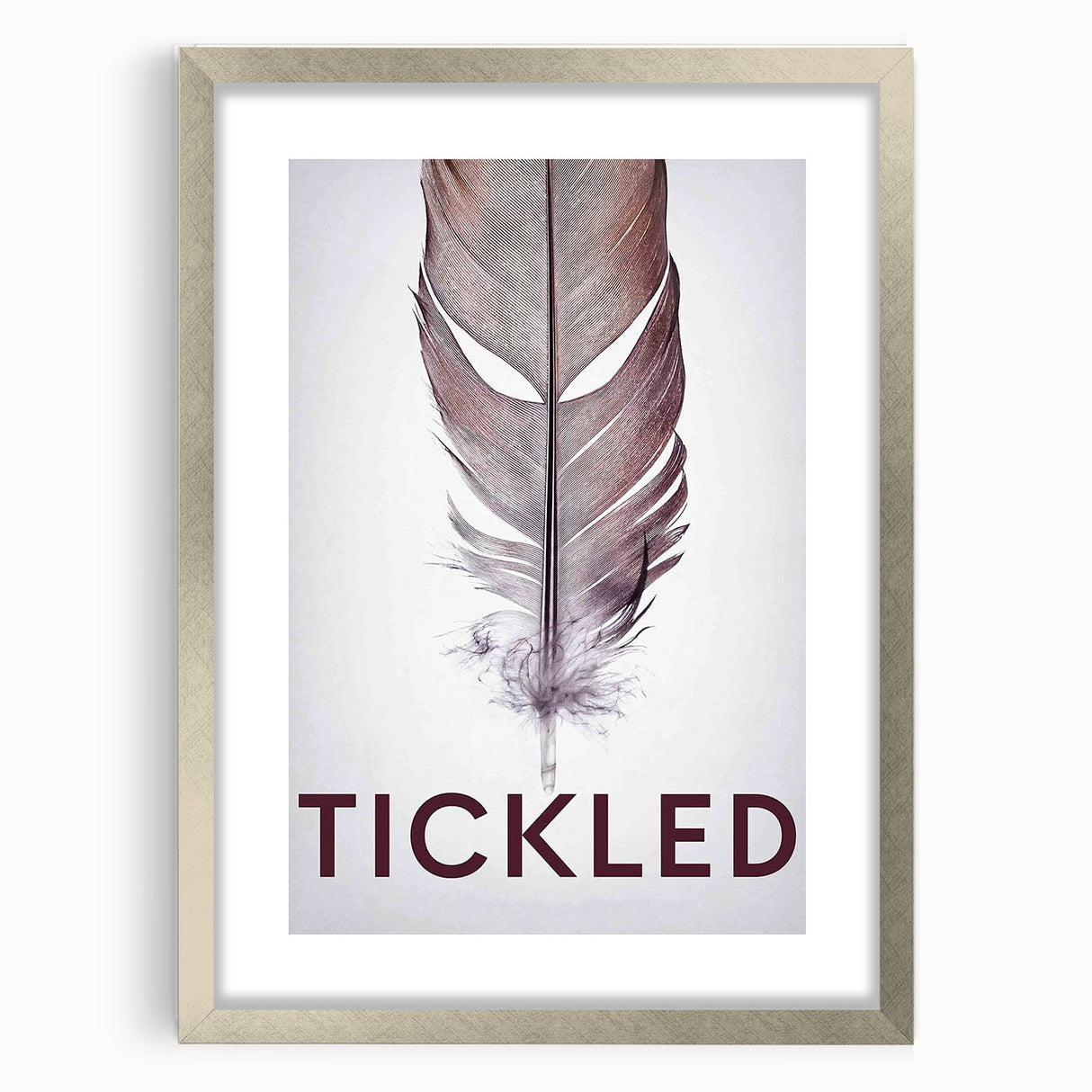 2010s Movie Poster Art - Tickled Vintage Documentary Poster Print