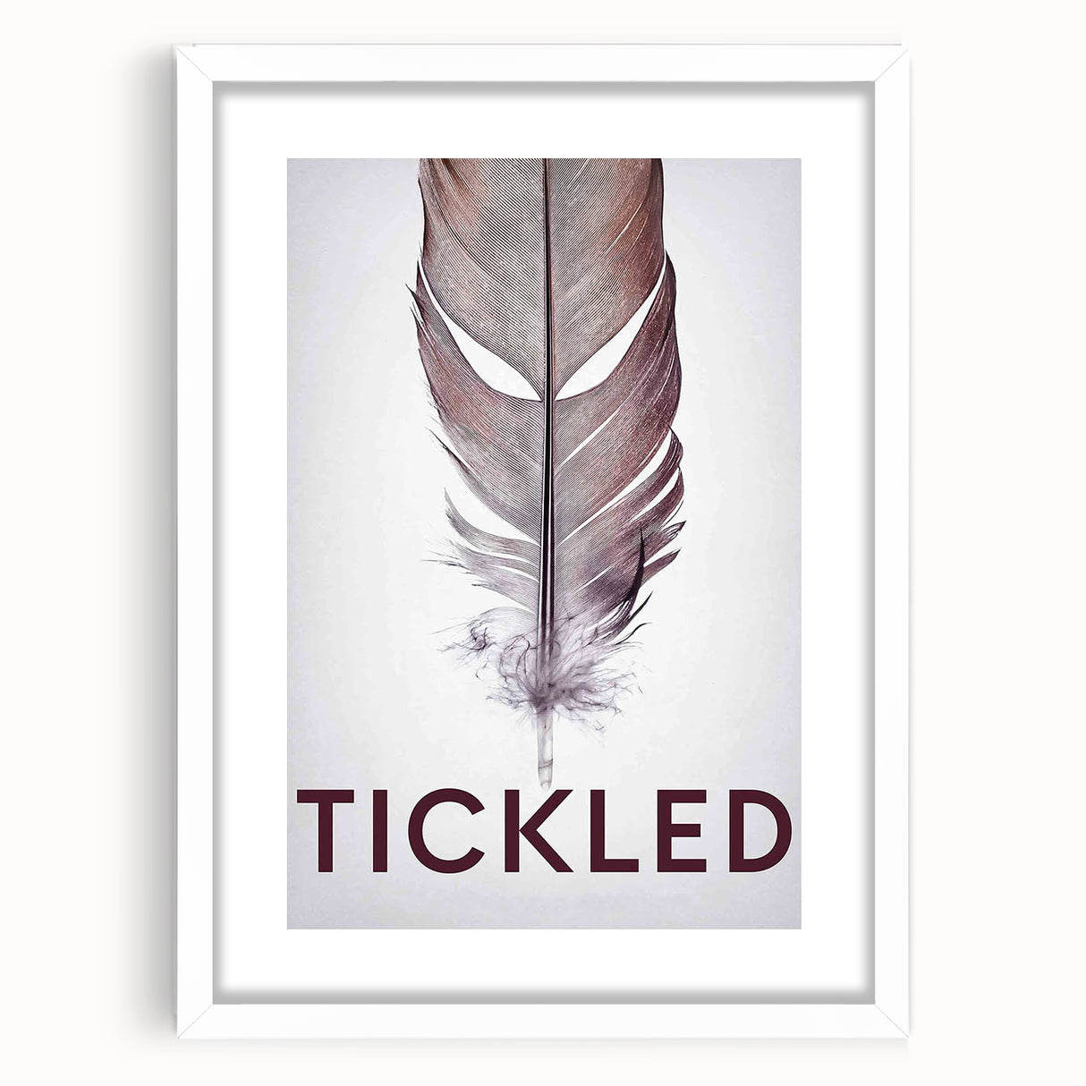 2010s Movie Poster Art - Tickled Vintage Documentary Poster Print