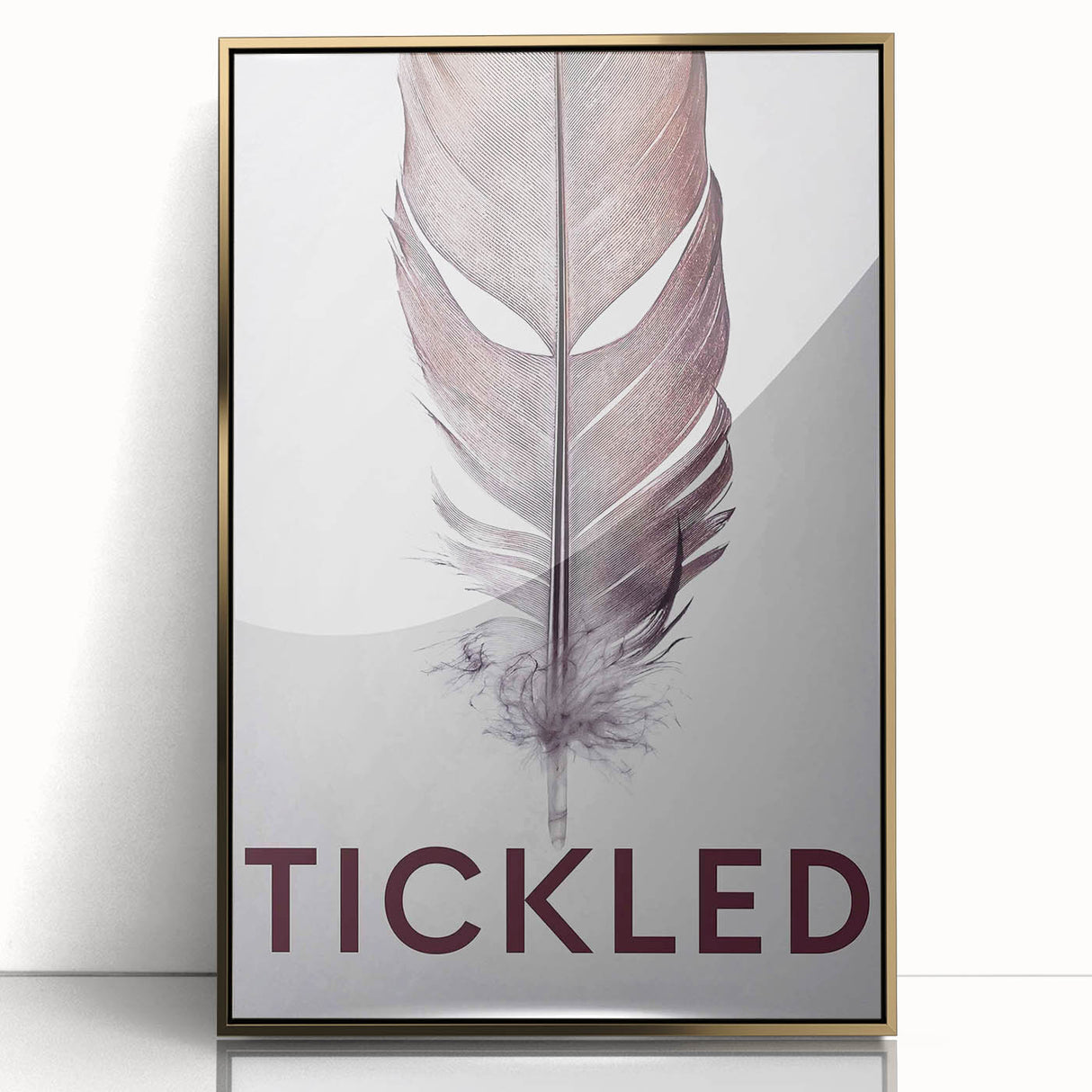 2010s Movie Poster Art - Tickled Vintage Documentary Poster Print