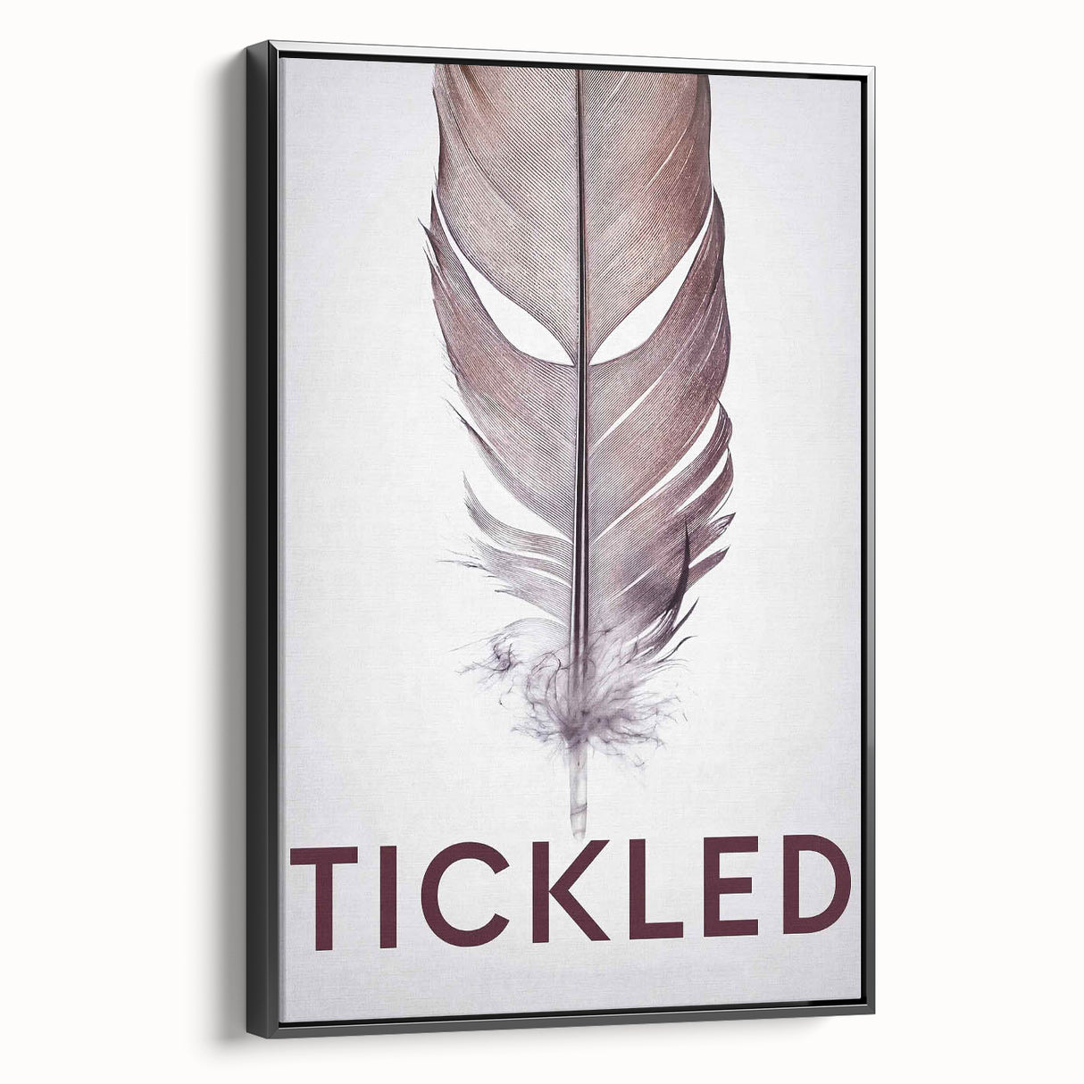 2010s Movie Poster Art - Tickled Vintage Documentary Poster Print
