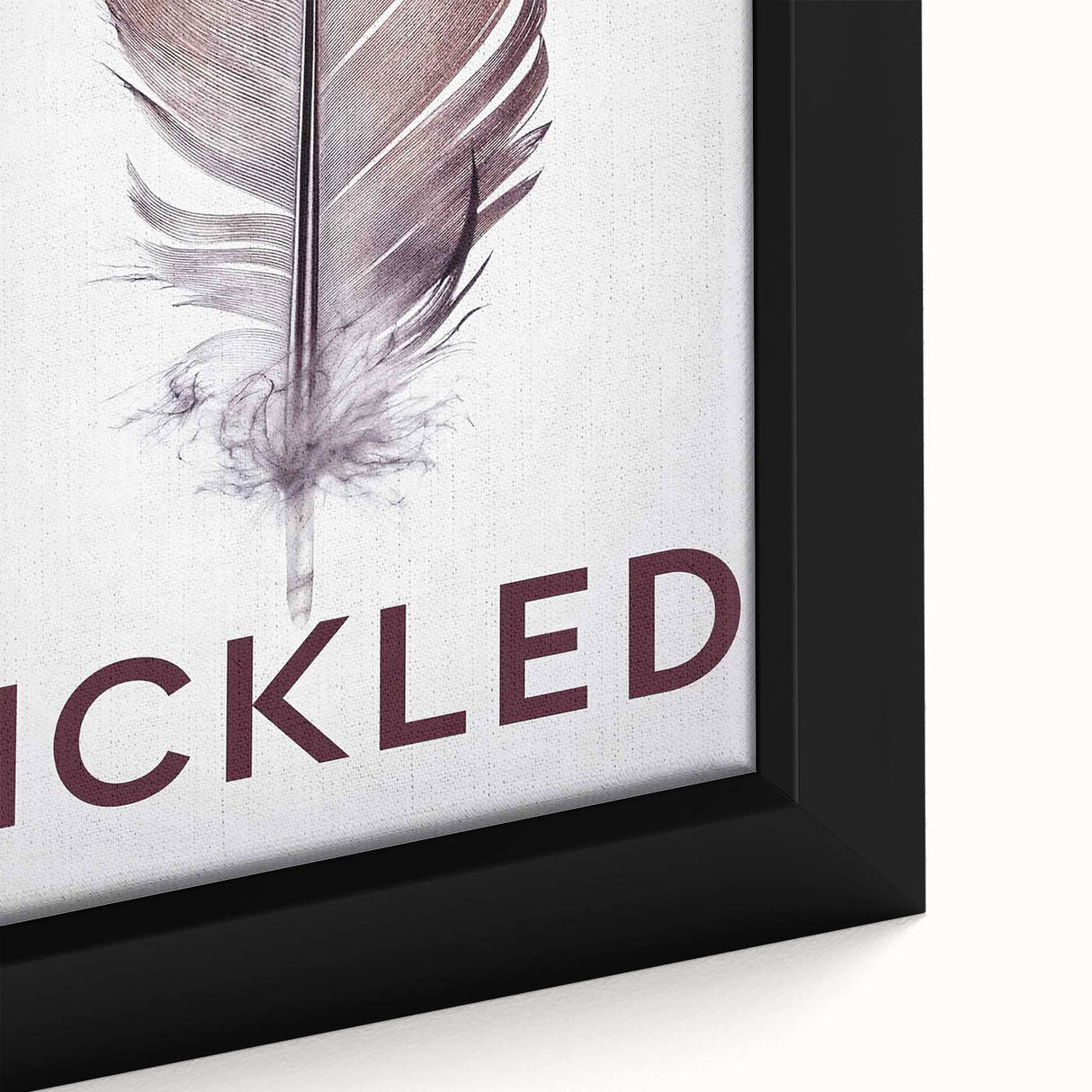 2010s Movie Poster Art - Tickled Vintage Documentary Poster Print