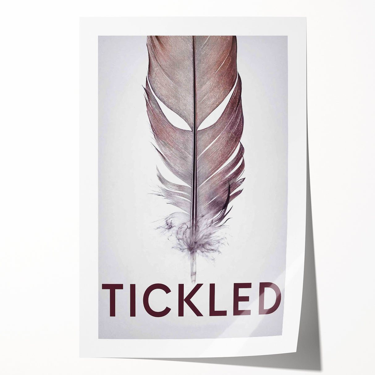 2010s Movie Poster Art - Tickled Vintage Documentary Poster Print