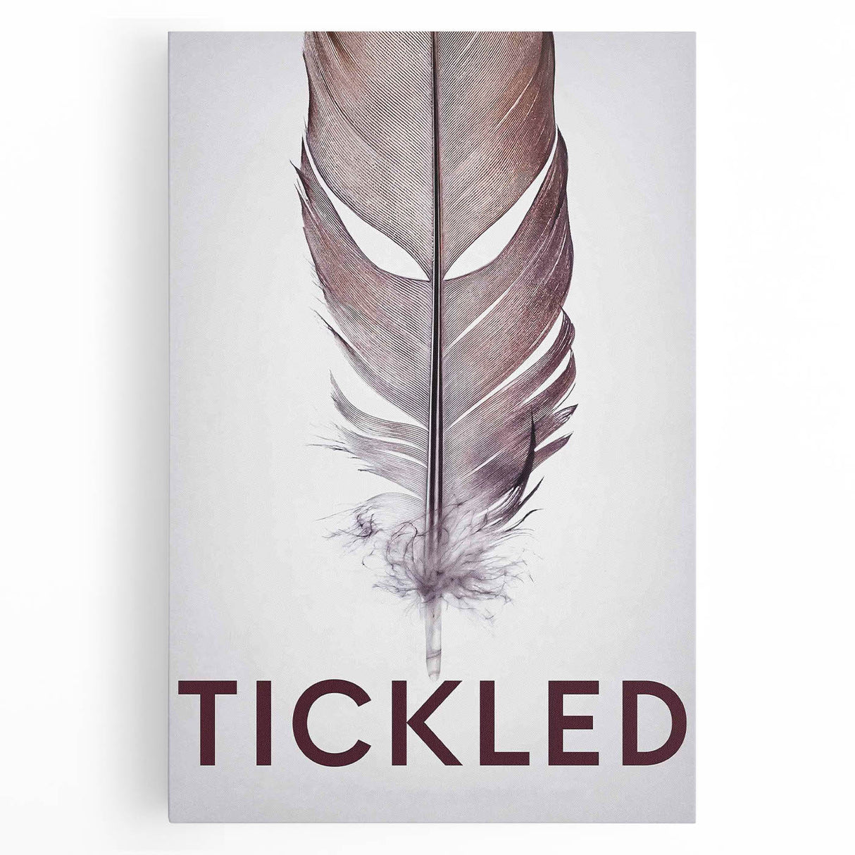 2010s Movie Poster Art - Tickled Vintage Documentary Poster Print