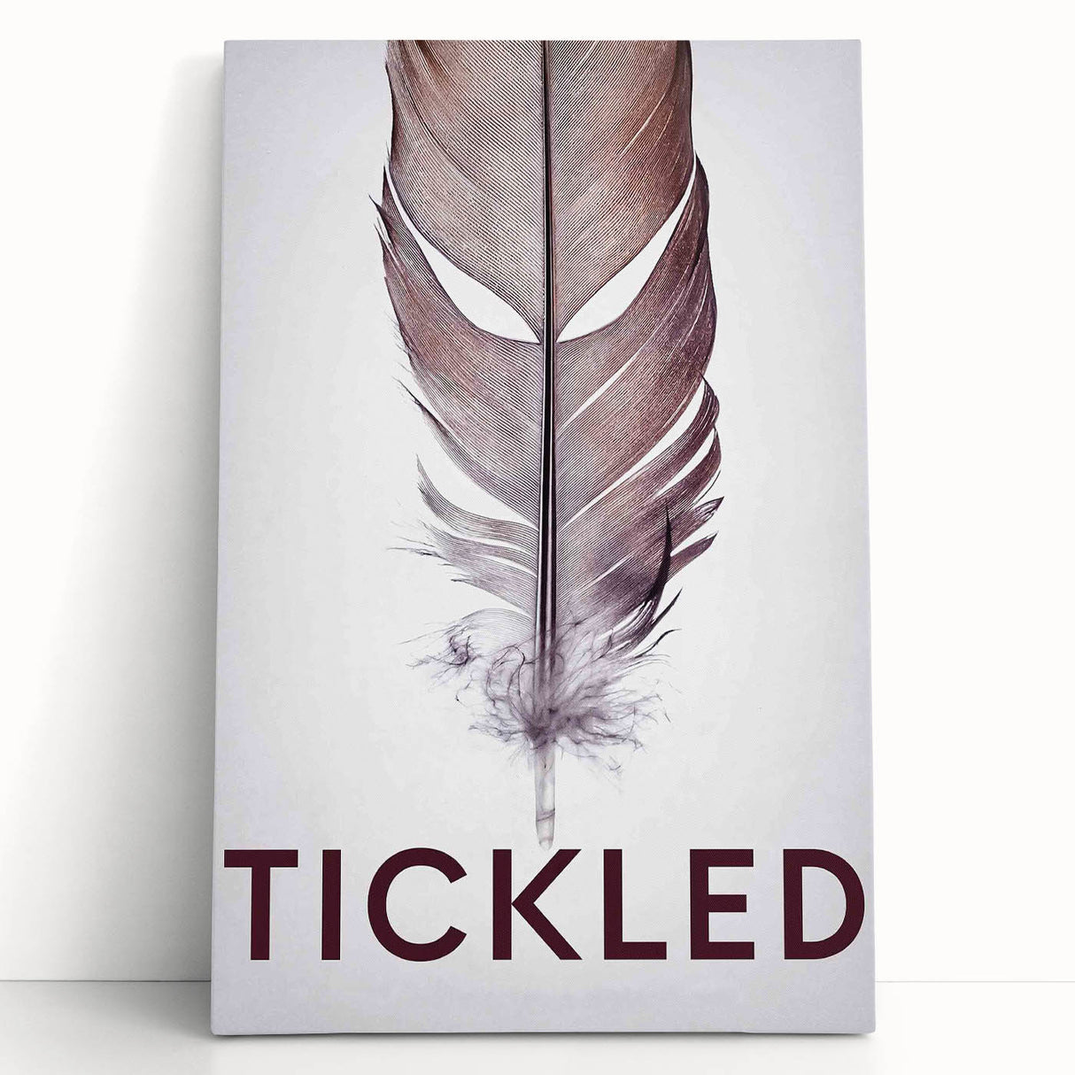 2010s Movie Poster Art - Tickled Vintage Documentary Poster Print