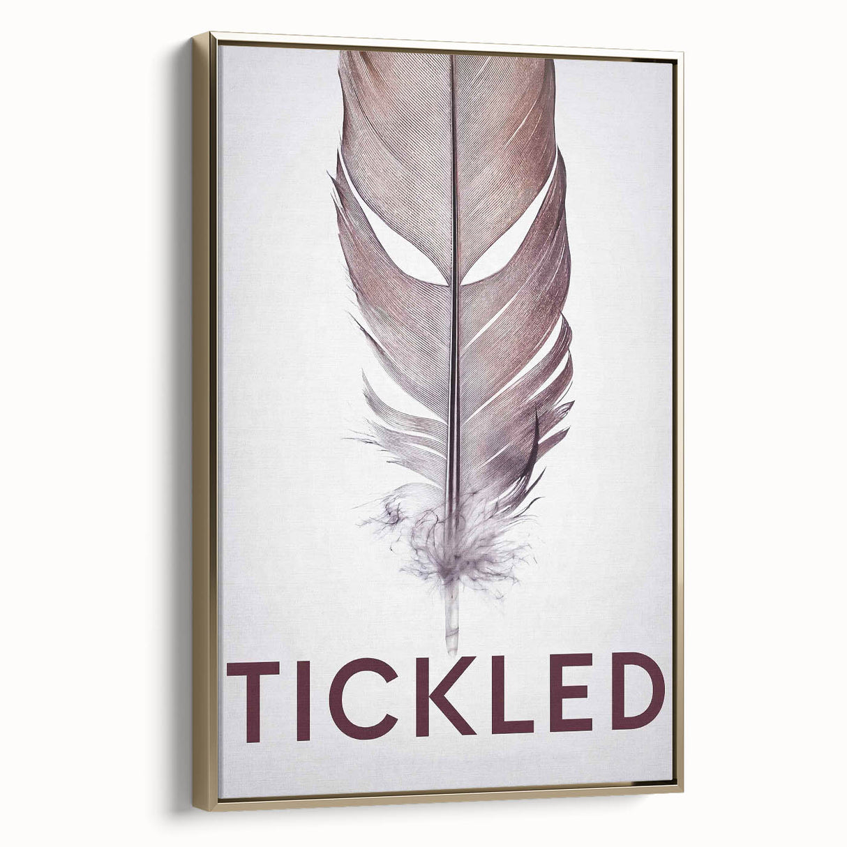 2010s Movie Poster Art - Tickled Vintage Documentary Poster Print