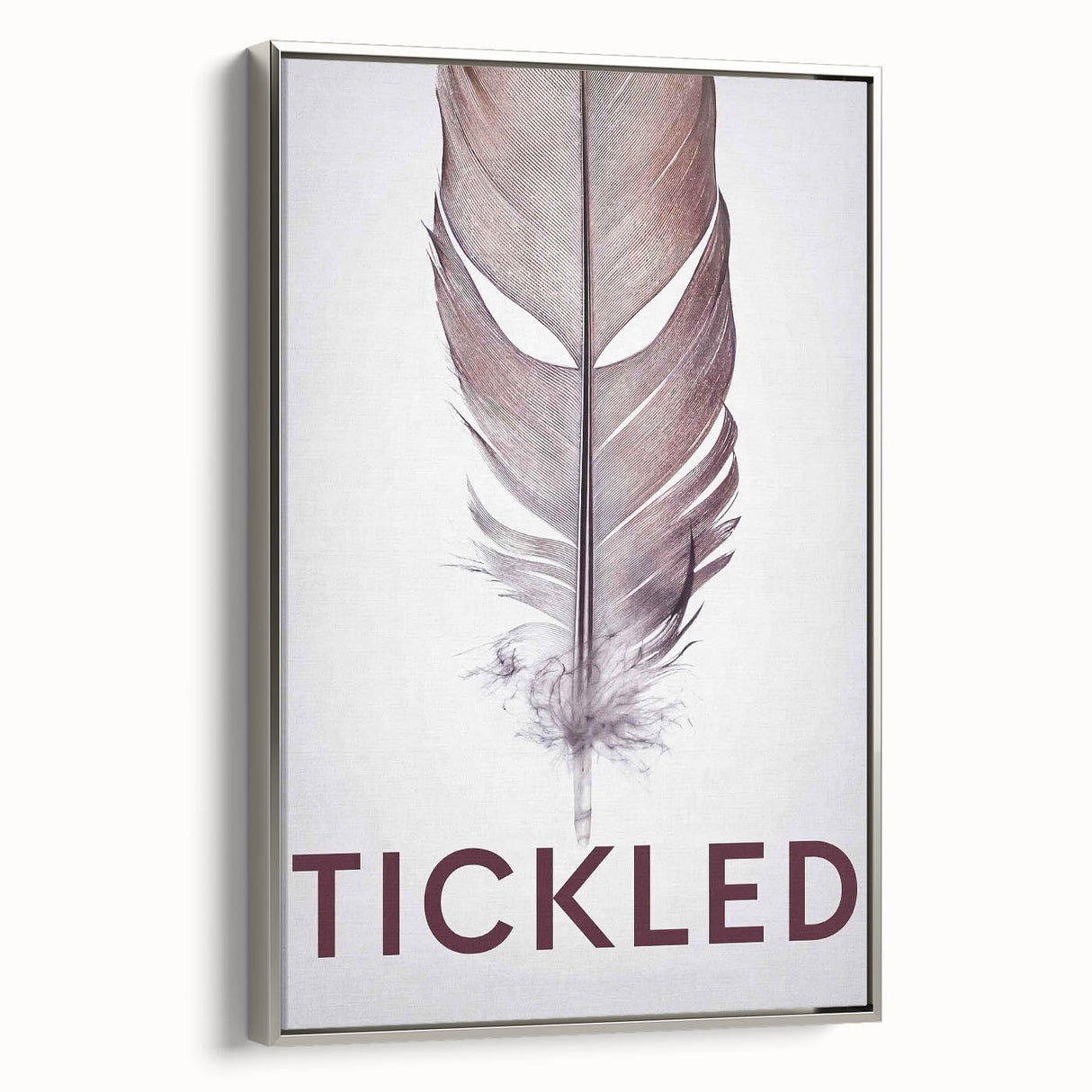 2010s Movie Poster Art - Tickled Vintage Documentary Poster Print