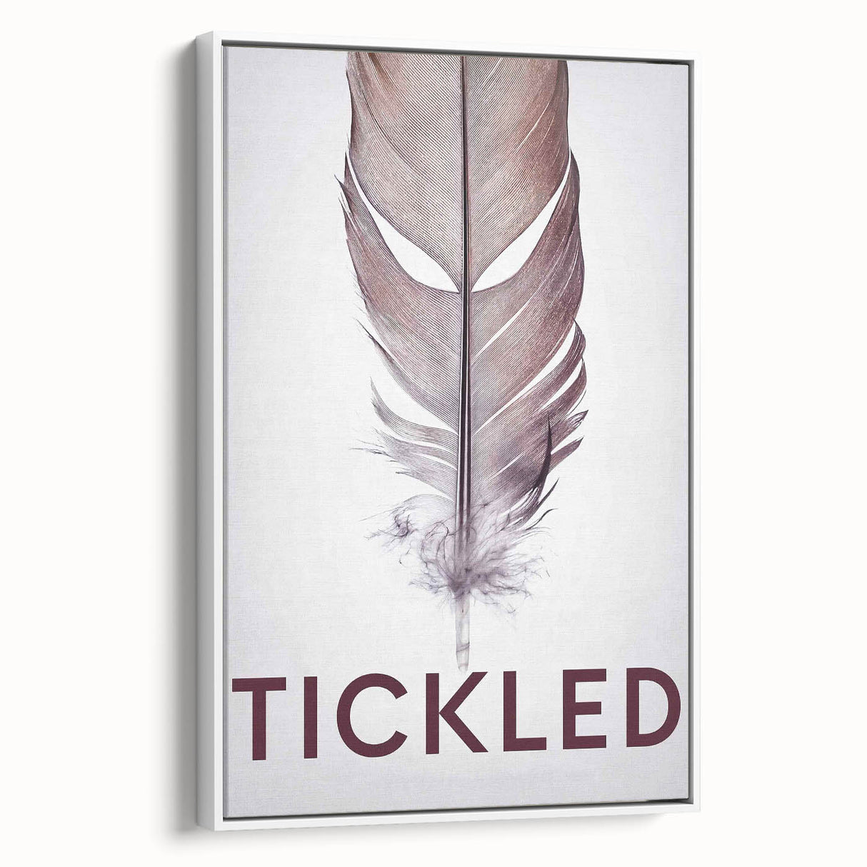 2010s Movie Poster Art - Tickled Vintage Documentary Poster Print