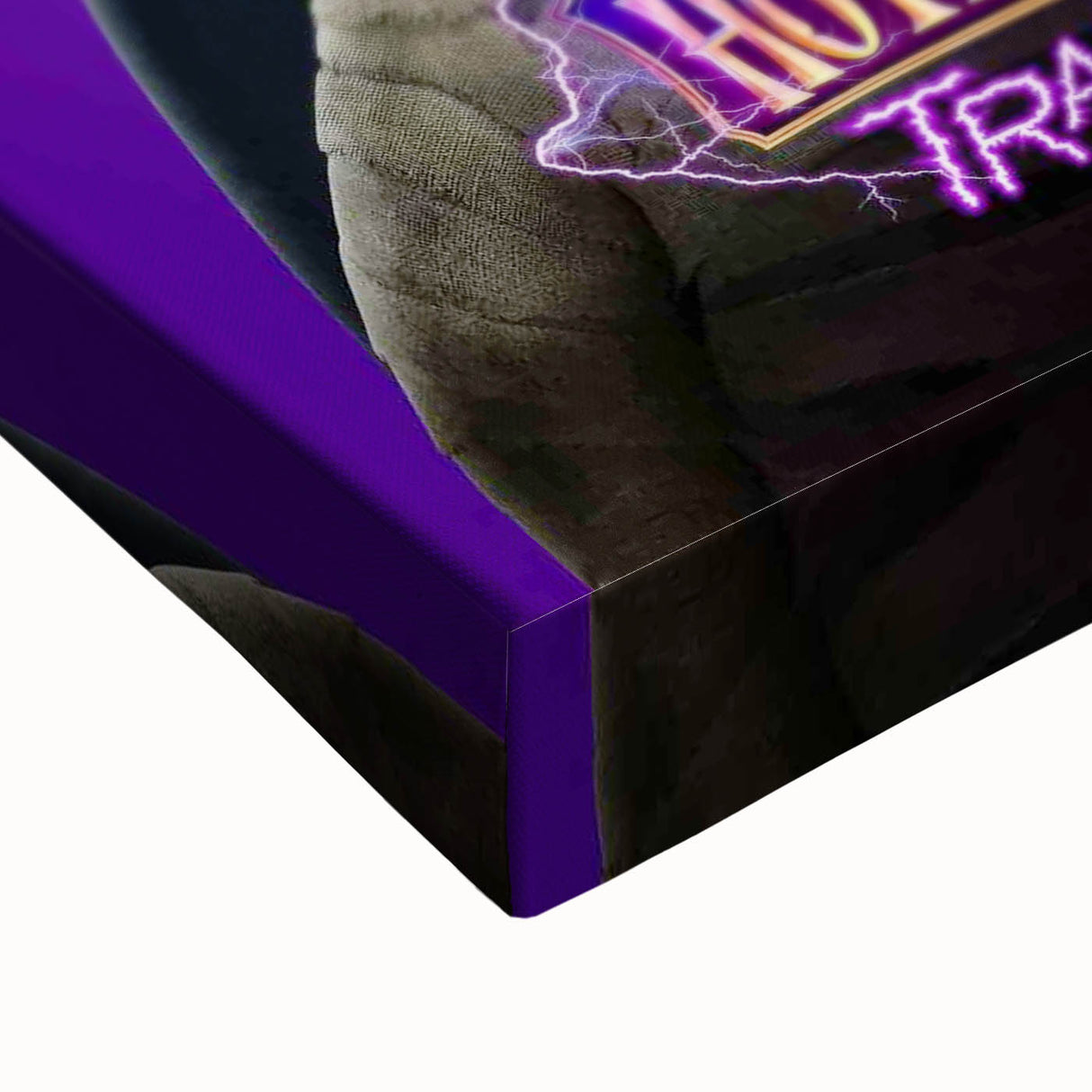 2020s Vintage Movie Poster – Hotel Transylvania Retro Film Print