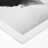 2020s Vintage Movie Poster - Shawn Mendes: In Wonder Documentary Art